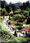 The Sunken Garden