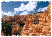 Hoodoos in the Canyon