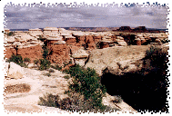 Mushroom Caps of Navajo Sandstone