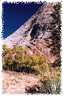 Near Checkerboard Mesa, Nature Paints on a white Canvas