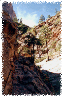 Clinging to the wall on the Hidden Canyon Trail...