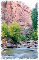 The deceptively humble Virgin River washes through the Narrows