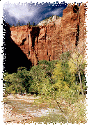 The Virgin River Tumbles Through the Temple of Sinawava